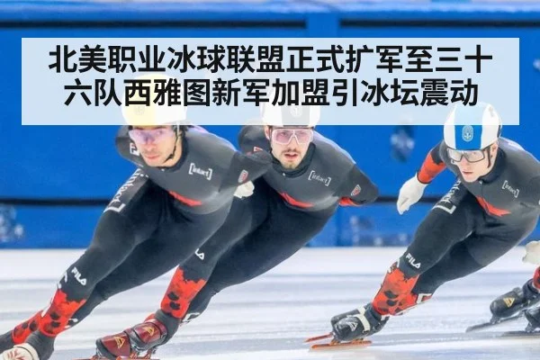 北美职业冰球联盟正式扩军至三十六队西雅图新军加盟引冰坛震动